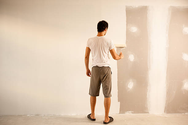 Best Fire-Damaged Drywall Repair  in Covington, OH