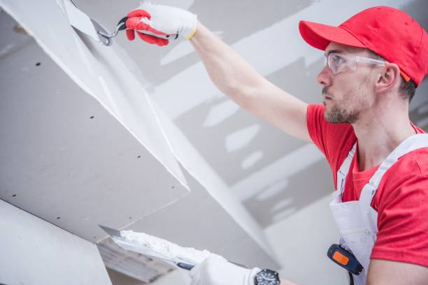 Best Ceiling Drywall Installation  in Covington, OH